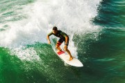 足球场土壤中的蚯蚓数量影响松软度，蚯蚓 踢足球